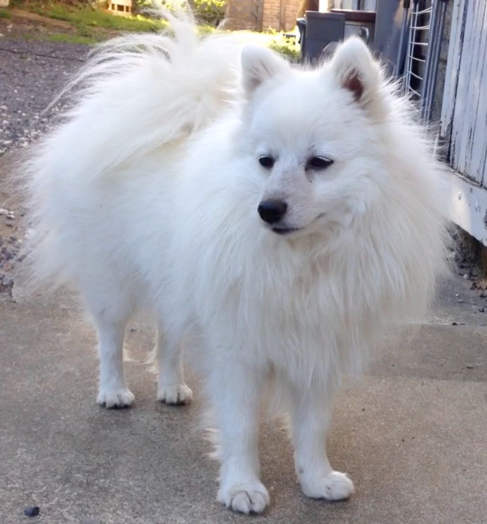 Lili-rose tchoka